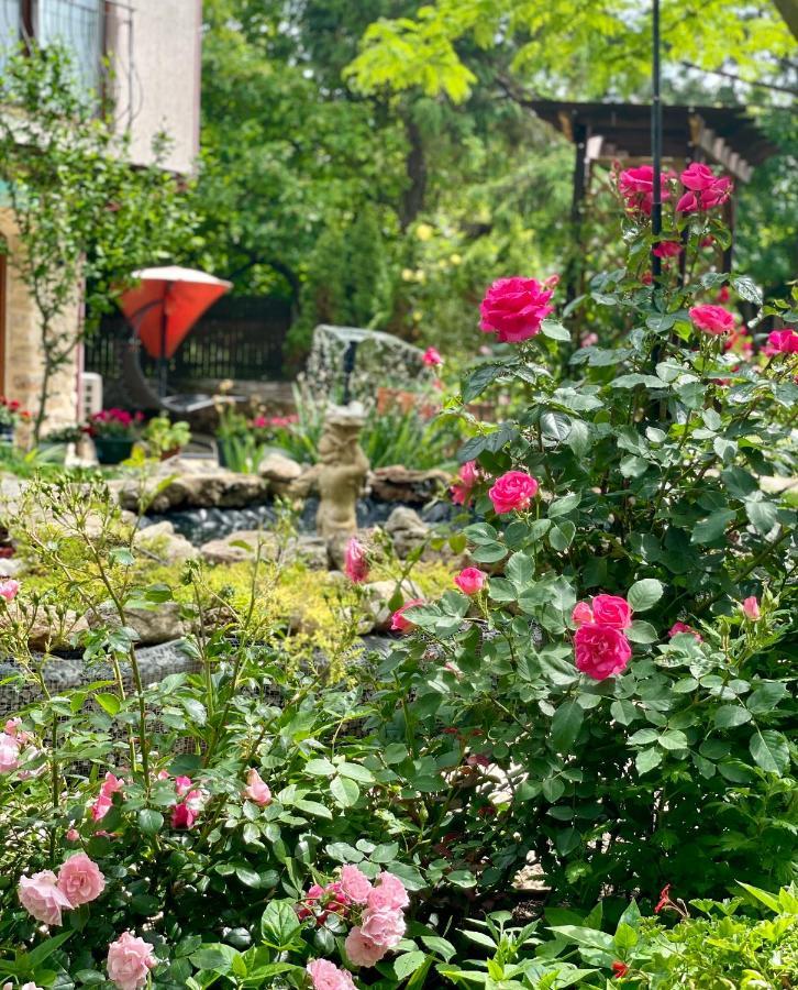 Bed and Breakfast Vamabel House Вама-Веке Экстерьер фото