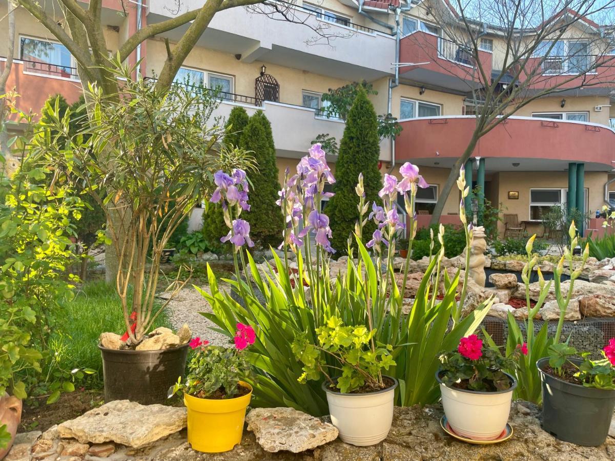 Bed and Breakfast Vamabel House Вама-Веке Экстерьер фото